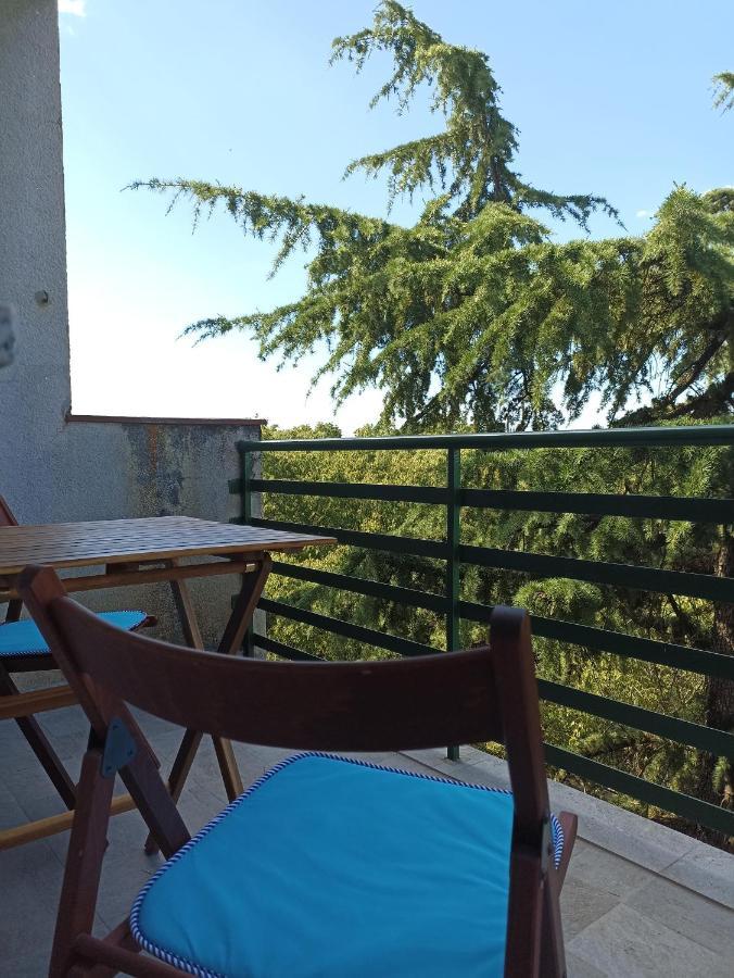 Apartman Pecine Рієка Екстер'єр фото